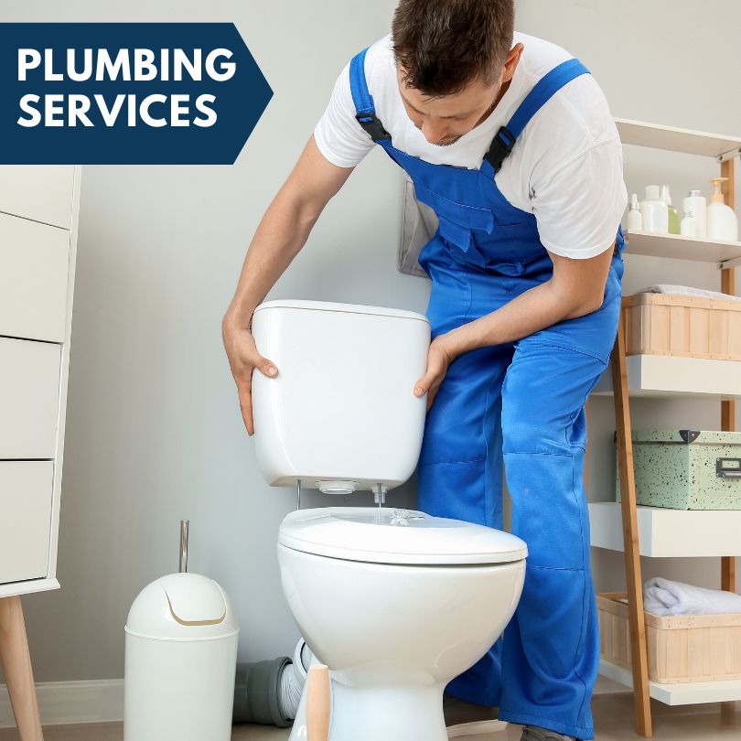 Plumbing Company in Saint Petersburg, FL